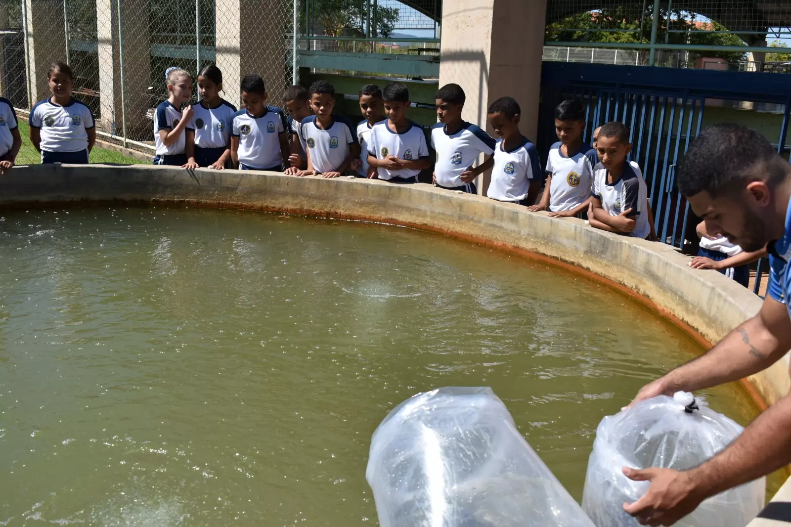 PEIXE ESCOLAR ][ ETI Almirante Tamandaré, em Palmas,  realiza Feira do Peixe nesta quinta